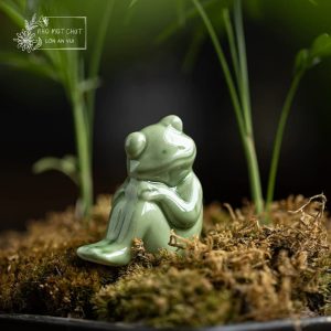 Ếch nhỏ nghỉ ngơi – một khoảng lặng trên bàn trà